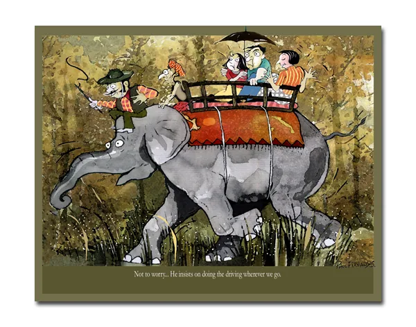 Jungle Series Elephant Ride